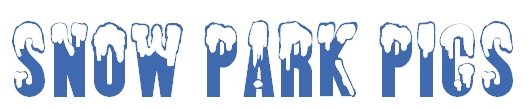 Snow Park Pics Logo